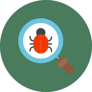 H | Bug Hunting Expert (H | BHE)